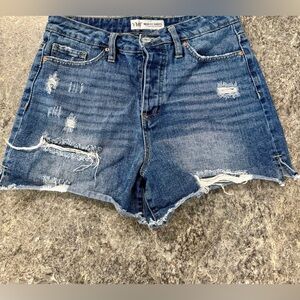 YMI Distressed Denim Jean Shorts